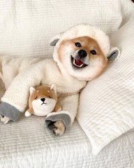 如何下载imtoken